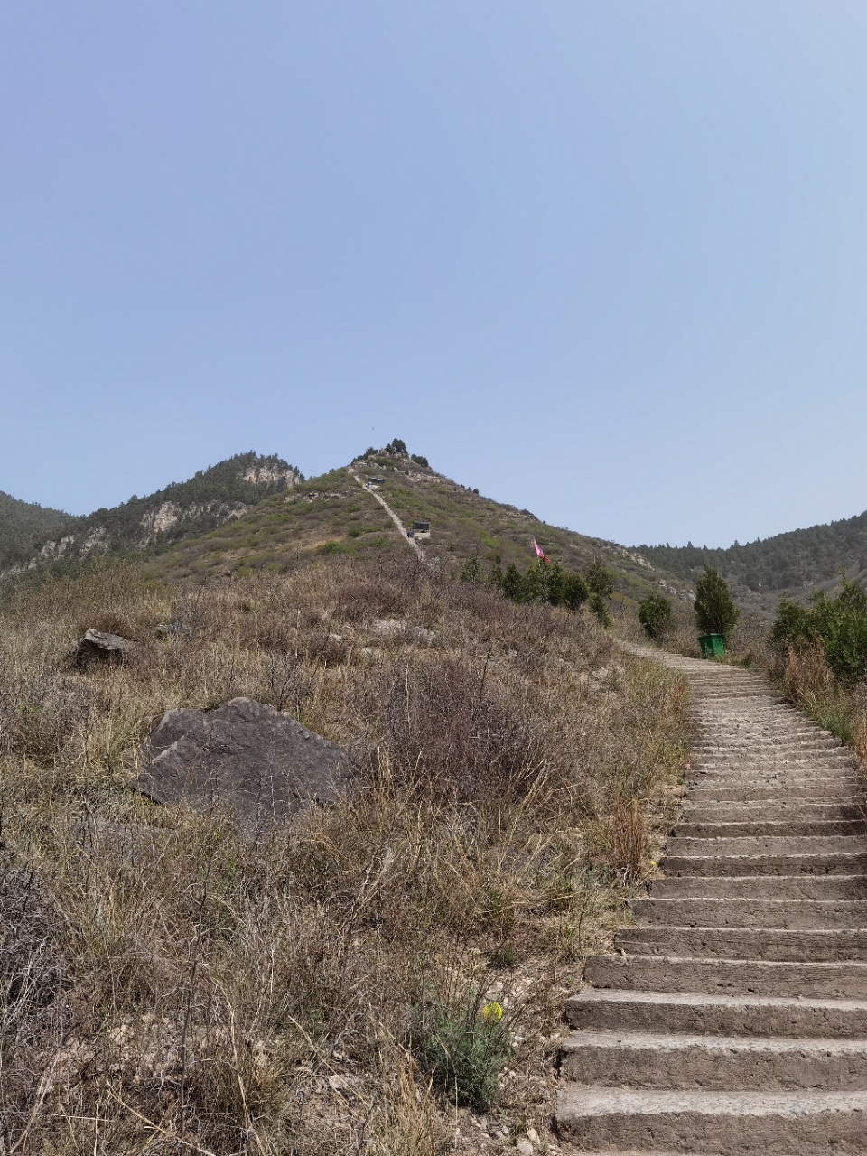 大家知道富平金粟山长寿树吗?是当地的知名树木,看着有年代的"味道"