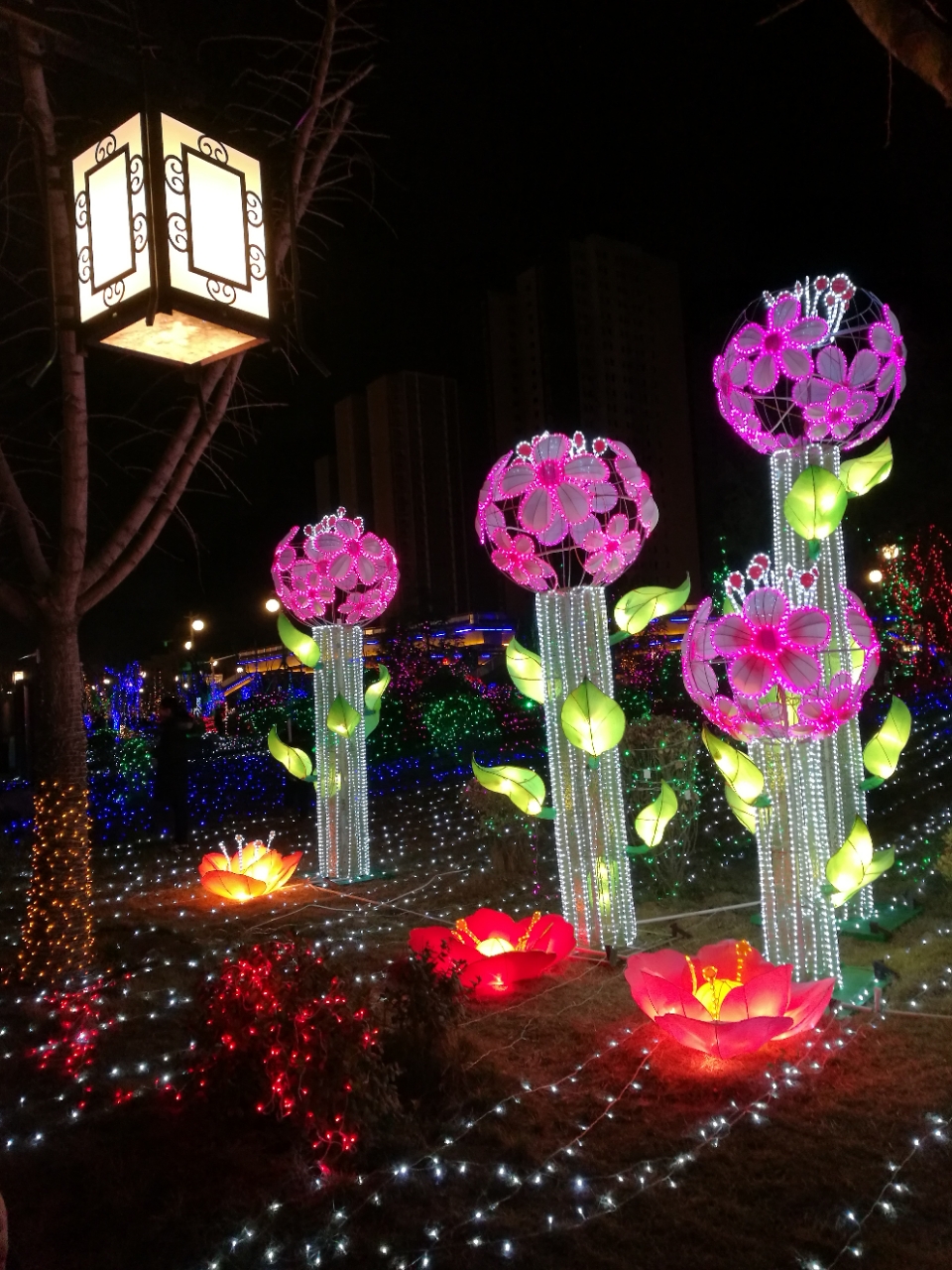 郑州紫荆山公园灯展图片