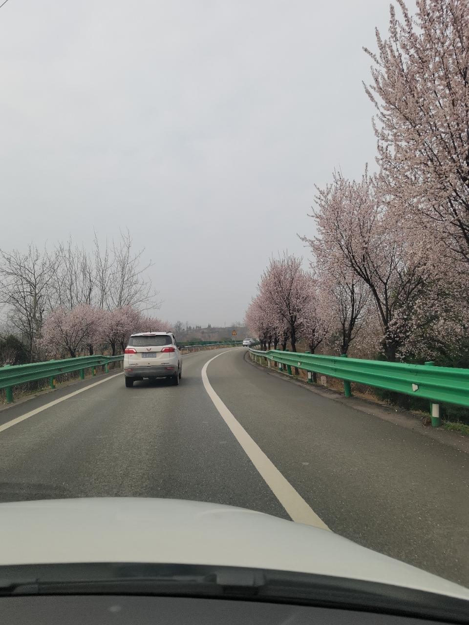 春天真是一个美丽的季节就连高速路上的风景也是这么迷人