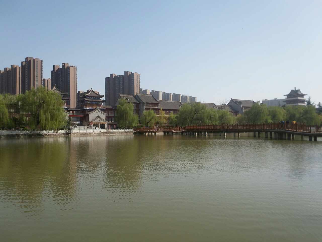 豔陽下的沋河公園真是美的無與倫比大家最喜歡渭南哪個公園