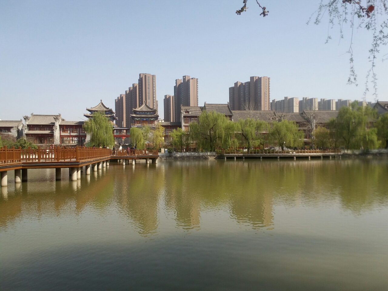 豔陽下的沋河公園真是美的無與倫比大家最喜歡渭南哪個公園