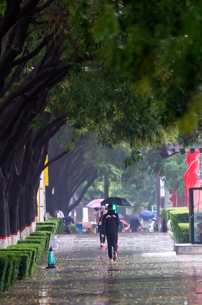 牛哥摄影秋雨绵绵路上有人行色匆匆有人谈笑甚欢整个城市的样子尽显